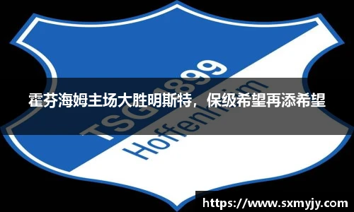 霍芬海姆主场大胜明斯特，保级希望再添希望